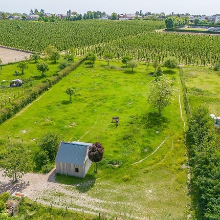 Unique Hideaway, Holiday House With Large Garden Villa Kortenaken Exterior photo