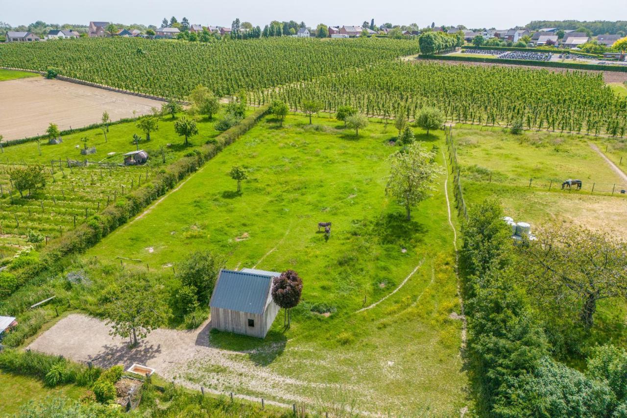 Unique Hideaway, Holiday House With Large Garden Villa Kortenaken Exterior photo